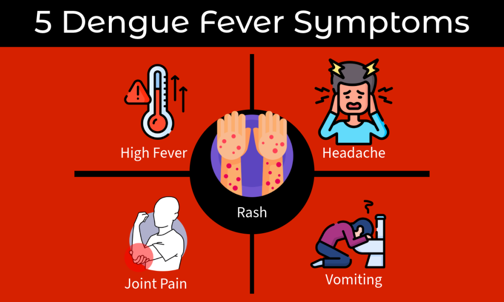 dengue fever symptoms